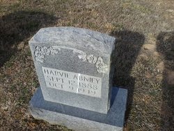 Harvey B. Abney 