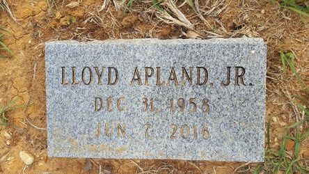 Lloyd V. Apland Jr.