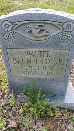 Walter Brumfield Jr.