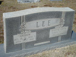 Andrew Lee 