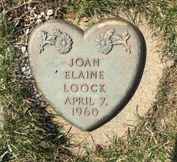 Joan Elaine Loock 