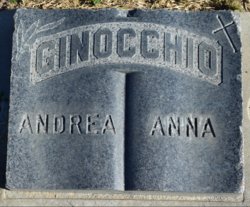 Anna <I>Bacigalupi</I> Ginocchio 