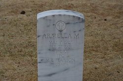 Armella M <I>Storm</I> Pearson 