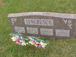 Eugene Norman Sengbusch 