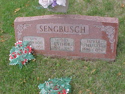 Kenwood Kenneth Sengbusch 