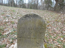 Mary Ann <I>Beaver</I> Bever 