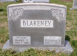 Harry Edward Blakeney 