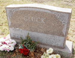 Robert John Gluck 