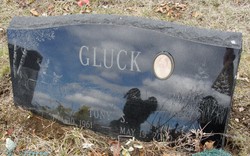 Tony S Gluck 