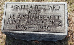 Agnella <I>Bechard</I> Archambeault 