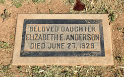 Elizabeth E. Anderson 