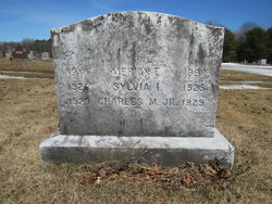 Charles M Stetson Jr.