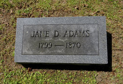 Jane <I>Davy</I> Adams 