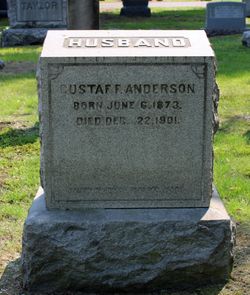 Gustaf F Anderson 