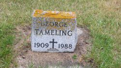 George Tameling 