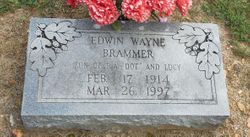 Edwin Wayne Brammer 