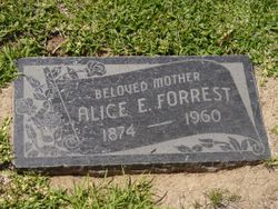 Alice Emma <I>Hosmer</I> Forrest 