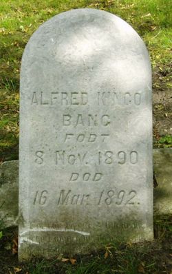 Alfred Kingo Bang 