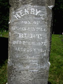 Henry J Burt 