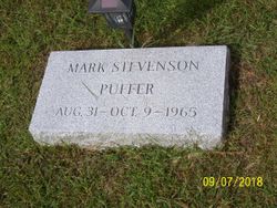 Mark Stevenson Puffer 