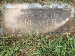 Elizabeth A “Lizzie” <I>Gahan</I> Erickson 
