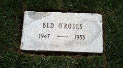 Bed O' Roses 