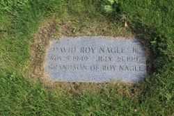 David Roy Nagle Jr.