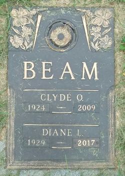 Diane <I>Sunday</I> Beam 
