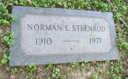 Norman E Steenrod 