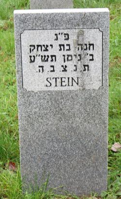 Stein 