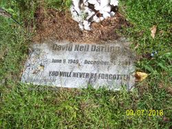 David Neil Darling Sr.