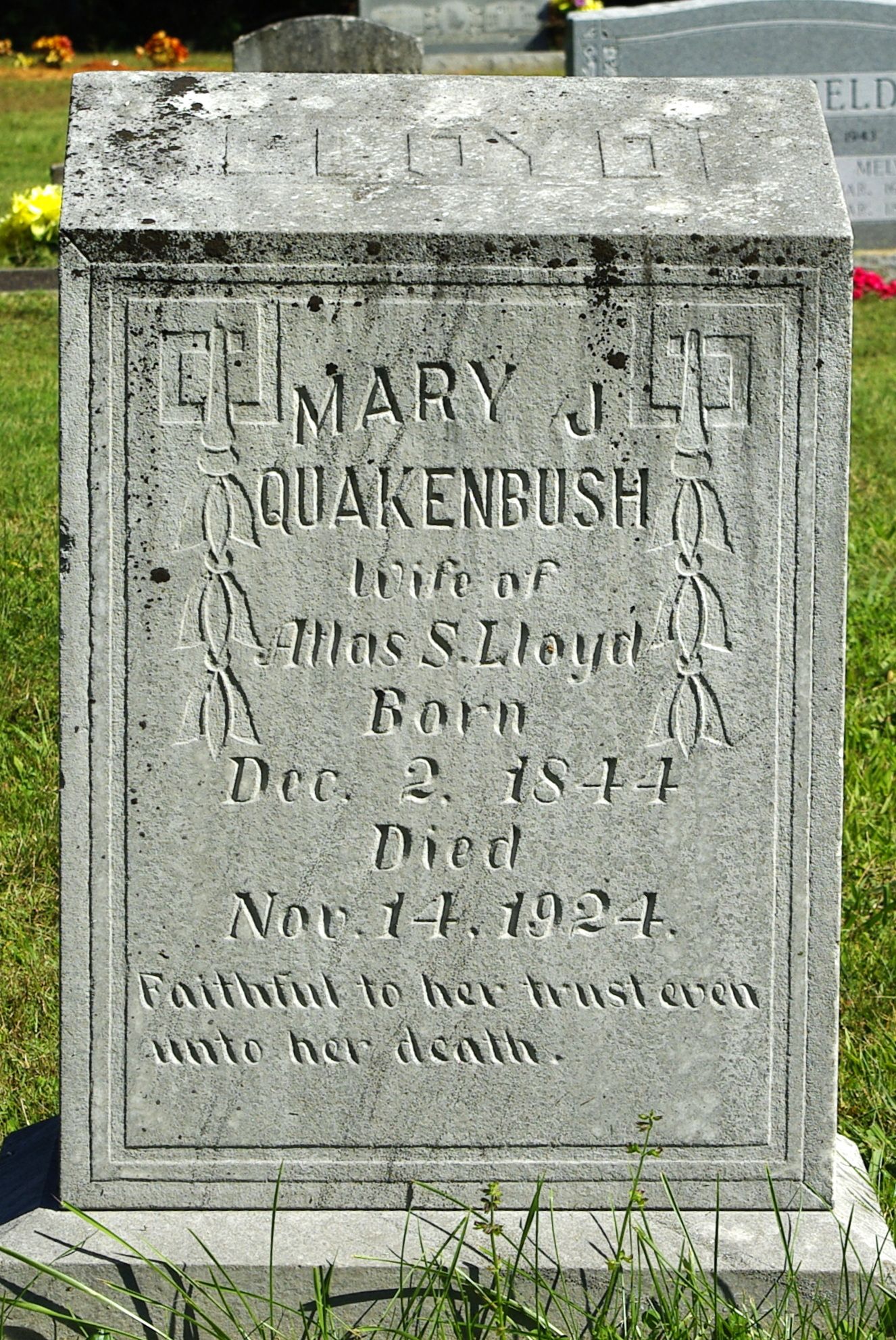 Mary Jane Quakenbush Lloyd (1844-1924)
