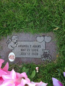 Arianna T Adams 