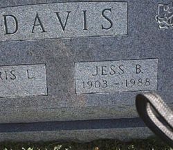 Jess B Davis 