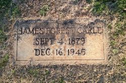 James Forest Carle 