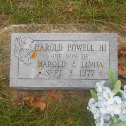 Harold Powell III