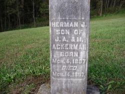 Herman John Ackerman 