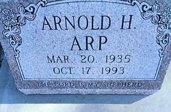Arnold Harold Arp 