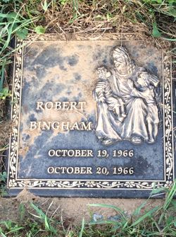 Robert Bingham 
