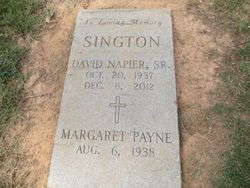David Napier Sington Sr.