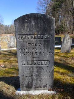 John D Reed Jr.