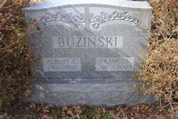 Albert E. Buzinski 