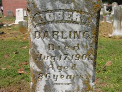 Robert Darling 