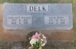 David Henry Delk Jr.
