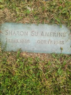 Sharon Sue Amerine 