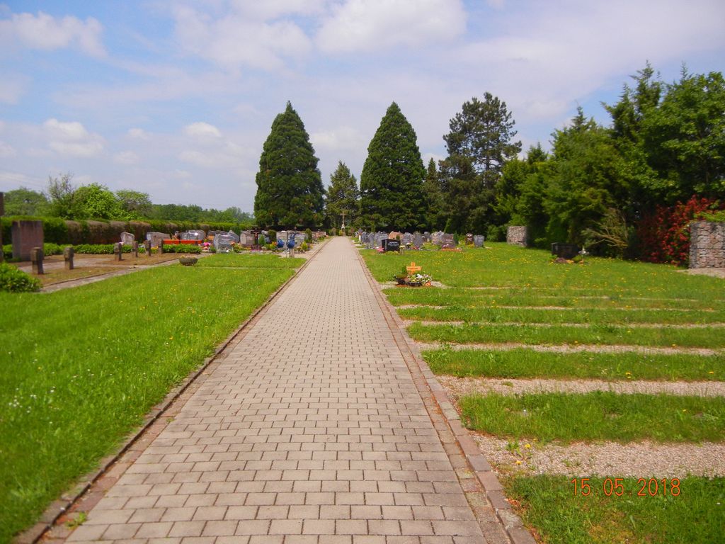 Friedhof Moos