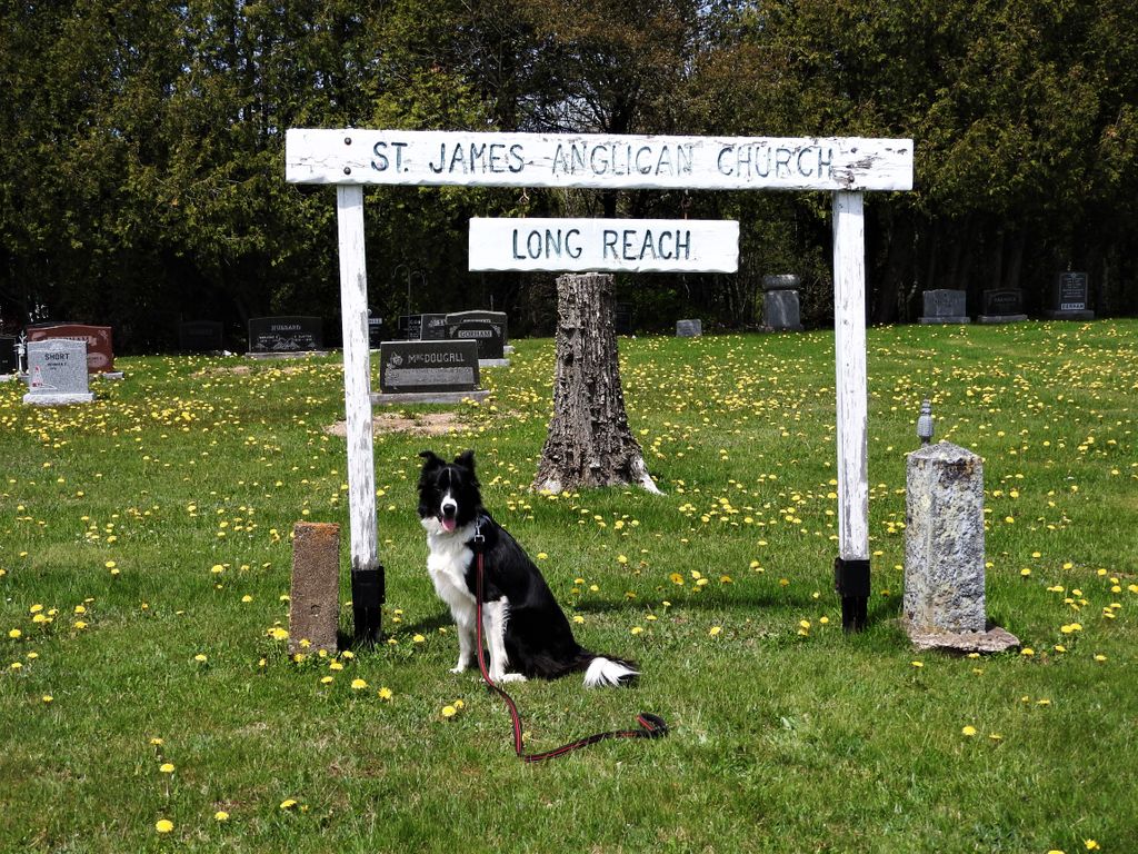 St. James Anglican Cemetery