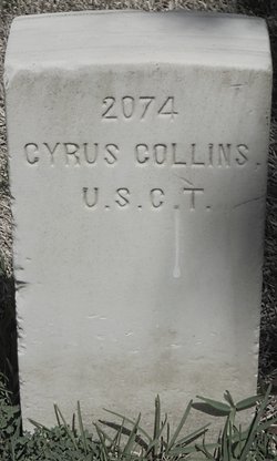 Cyrus Collins 