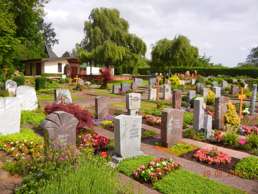 Friedhof Wart