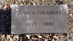 Jane B. Chesnutt 